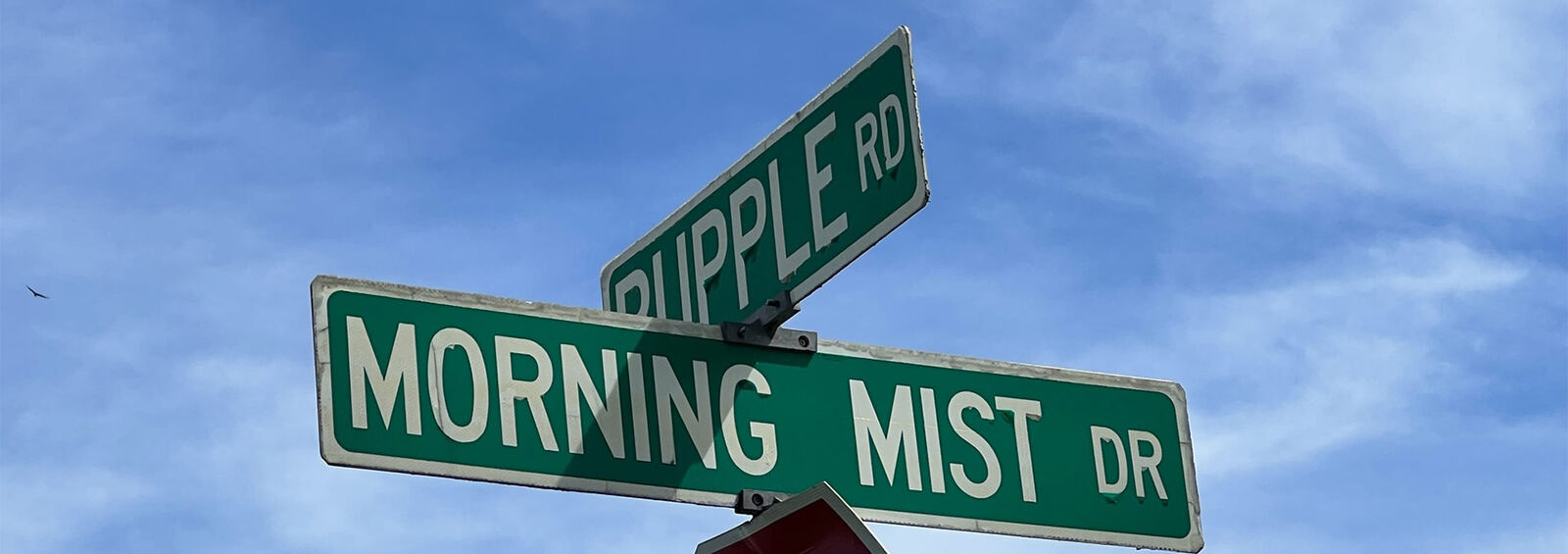 Morning Mist Drive and Rupple Road street signs
