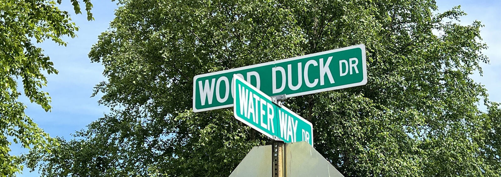 Wood Duck Drive and Water Way street signs